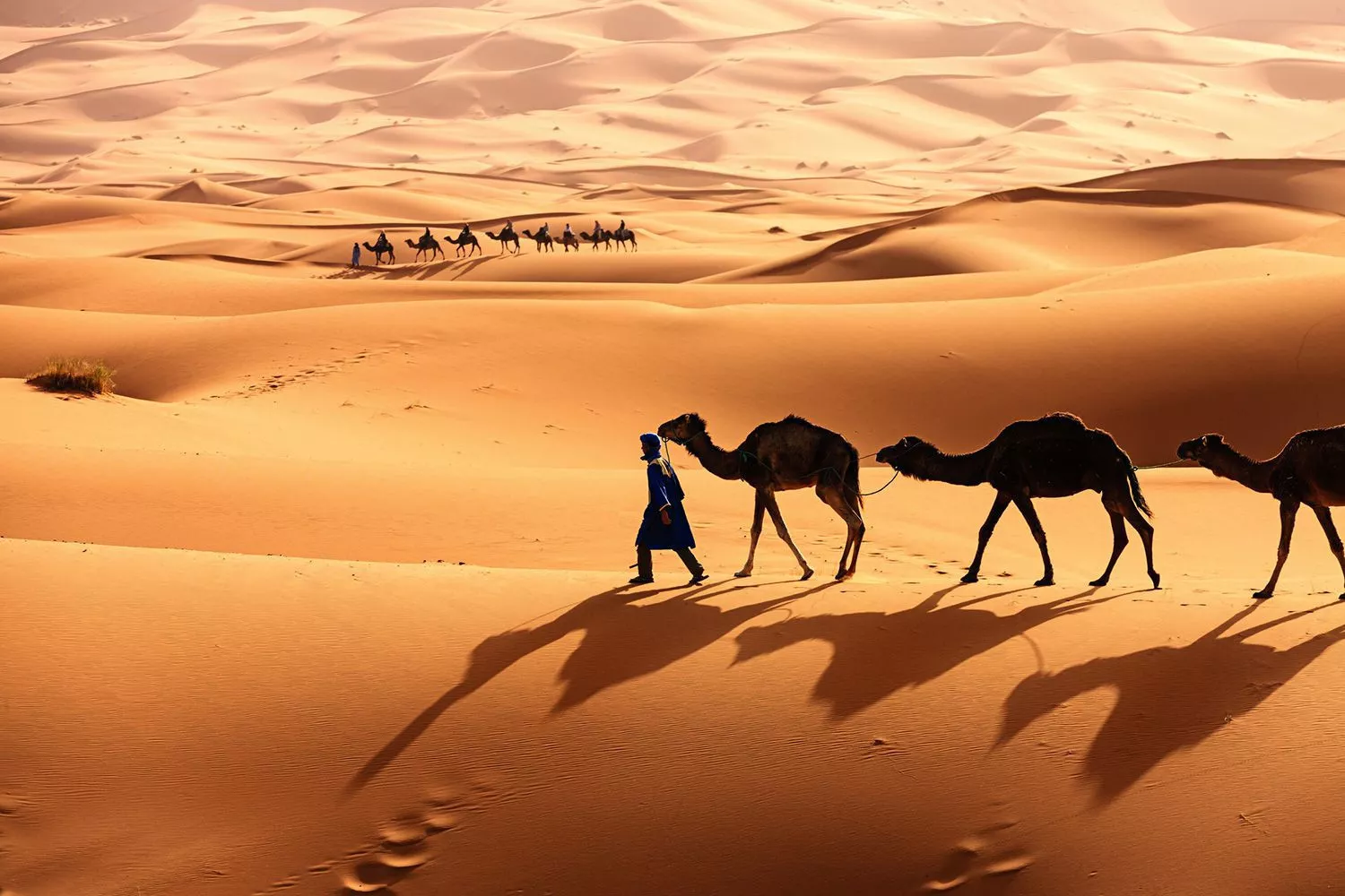 caravans