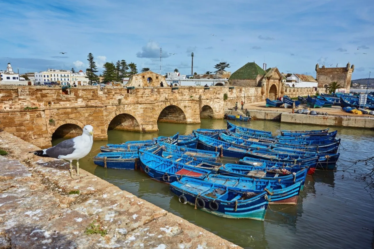 city-walls-essaouira