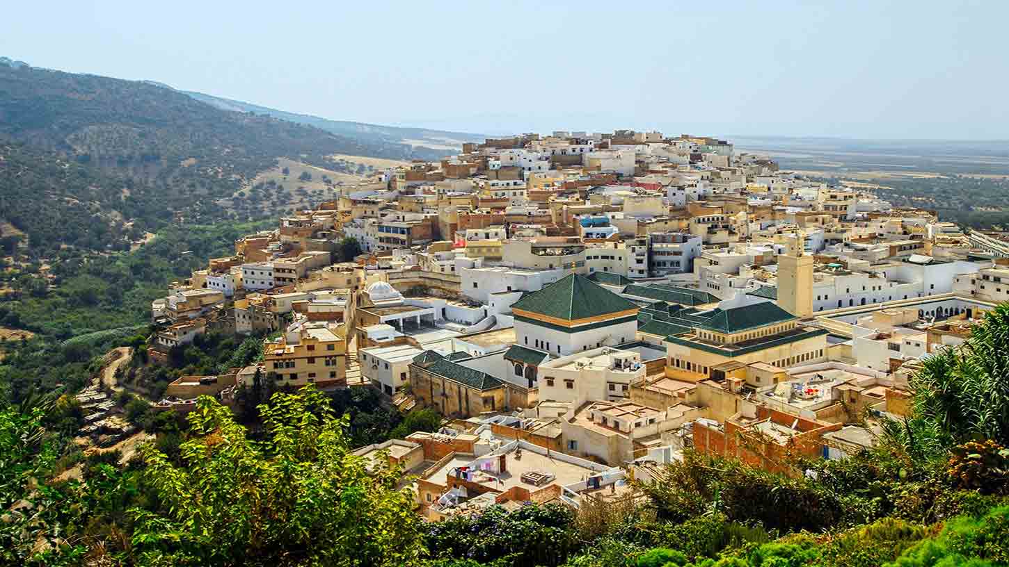 moulay driss