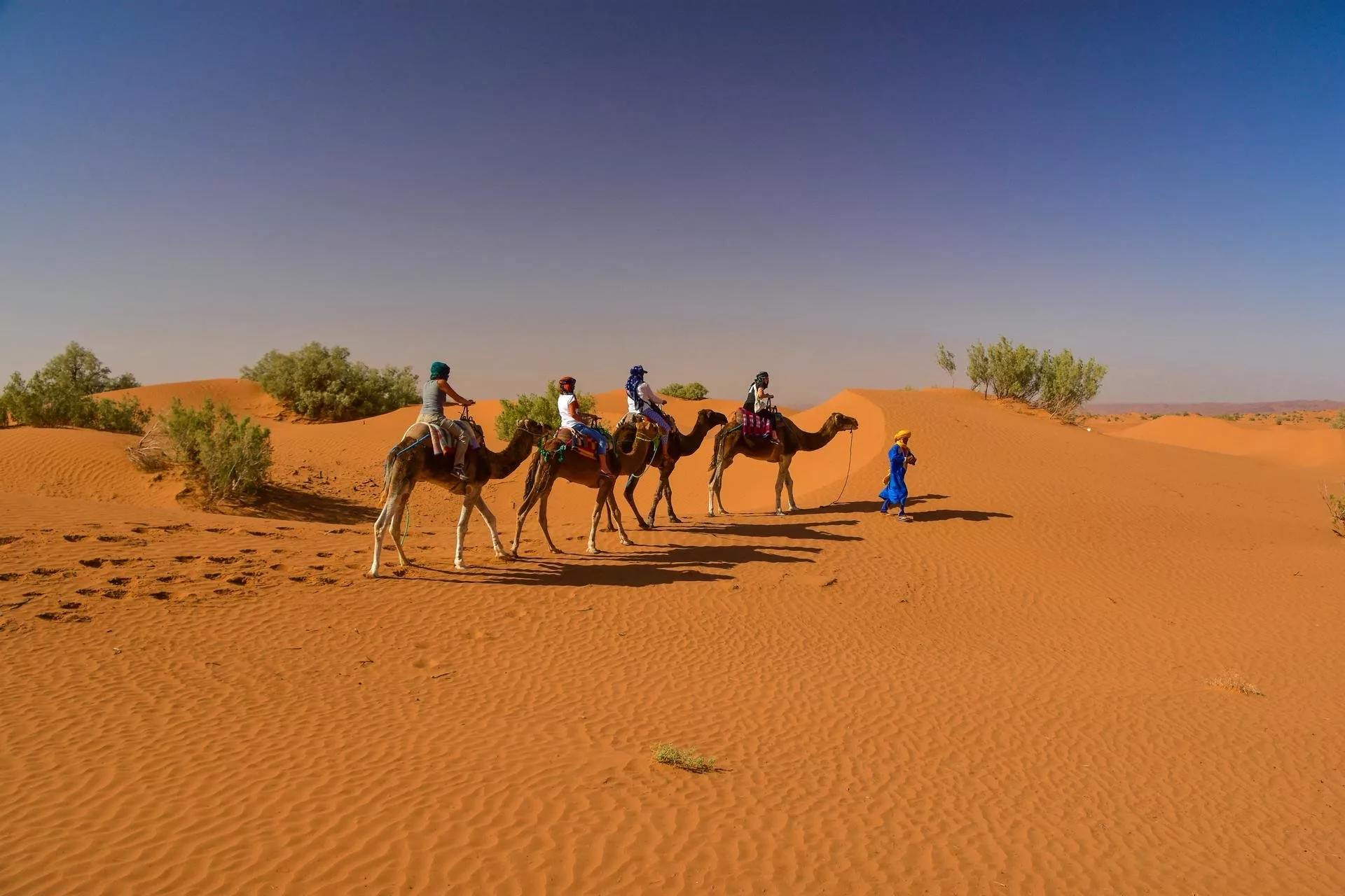 zagora