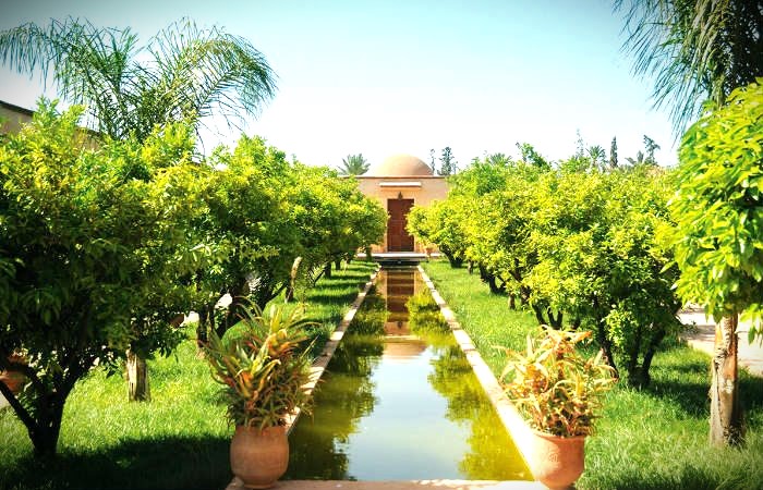Palmeraie Museum