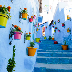 5-Day to Chefchaouen & Morocco Imperial Cities from Tangier