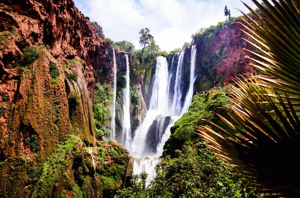 Day Trip from Marrakech to Ouzoud Waterfalls