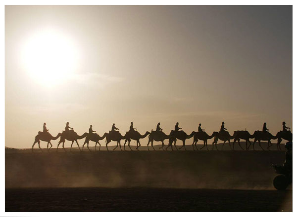 camel-ride