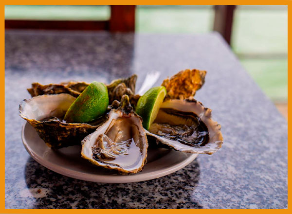 oysters