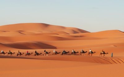 How Did the Morocco Western Sahara Road Become a Timeless Route of Power and Trade?