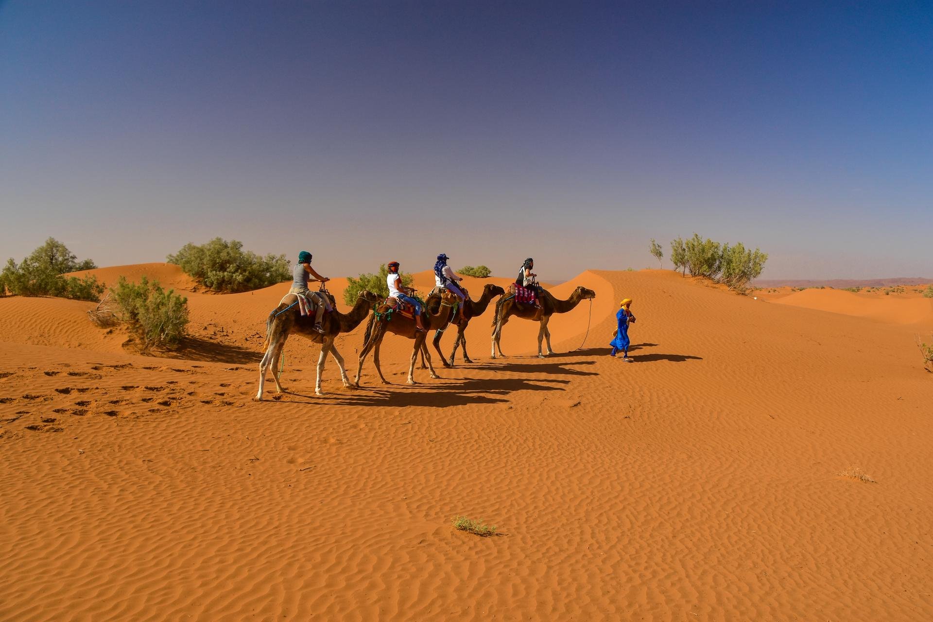 Zagora sahara