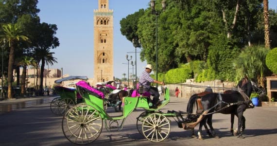Your Ultimate Travel Guide for First-Time Visitors