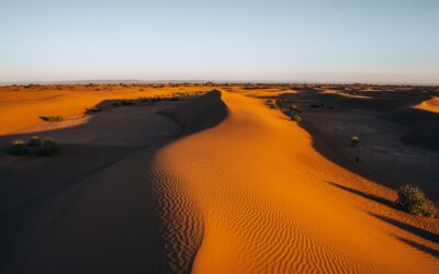 Best Time to Visit the Sahara Desert: A Month-by-Month Guide
