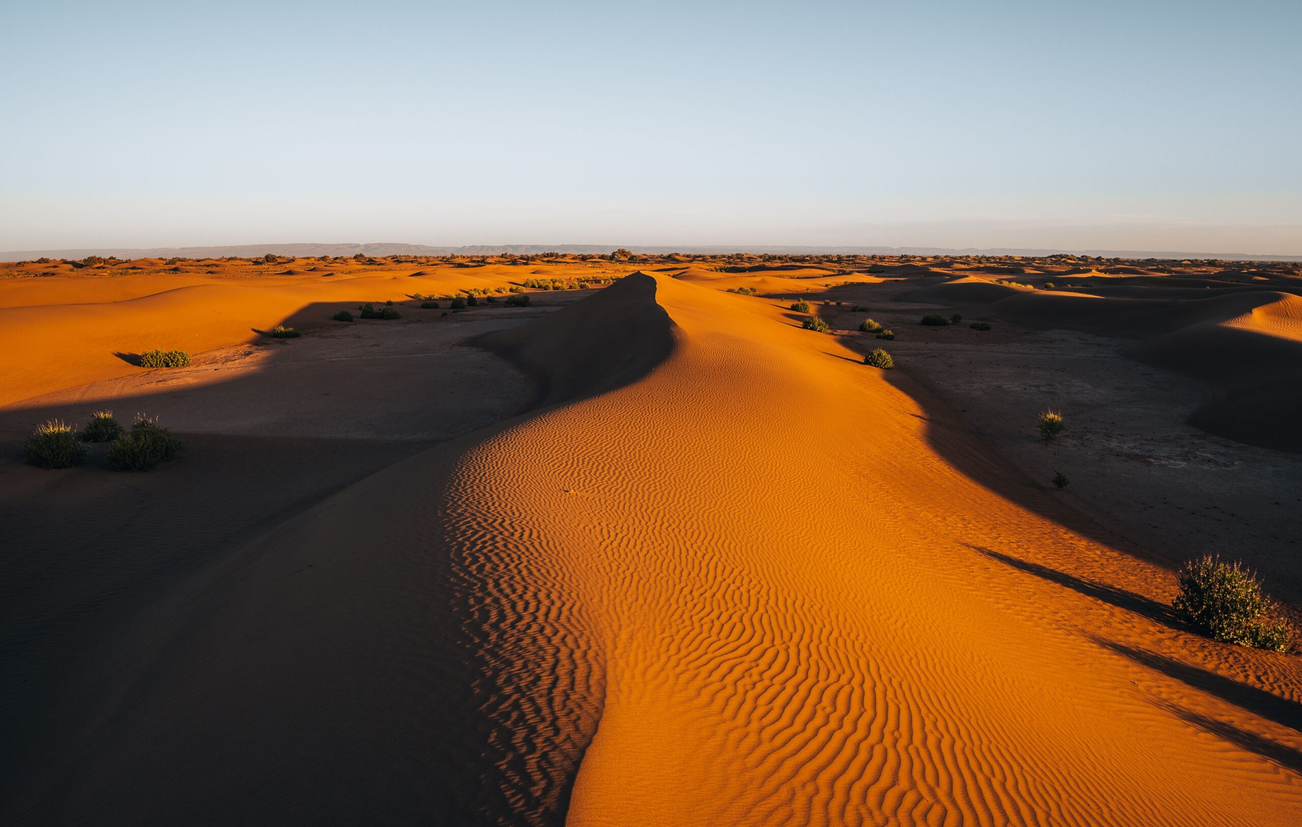 Best Time to Visit the Sahara Desert